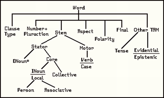 diagram of P2 word structure